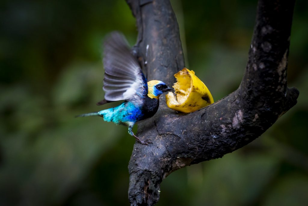 Oasis Eco park, Fortuna, Costa Rica