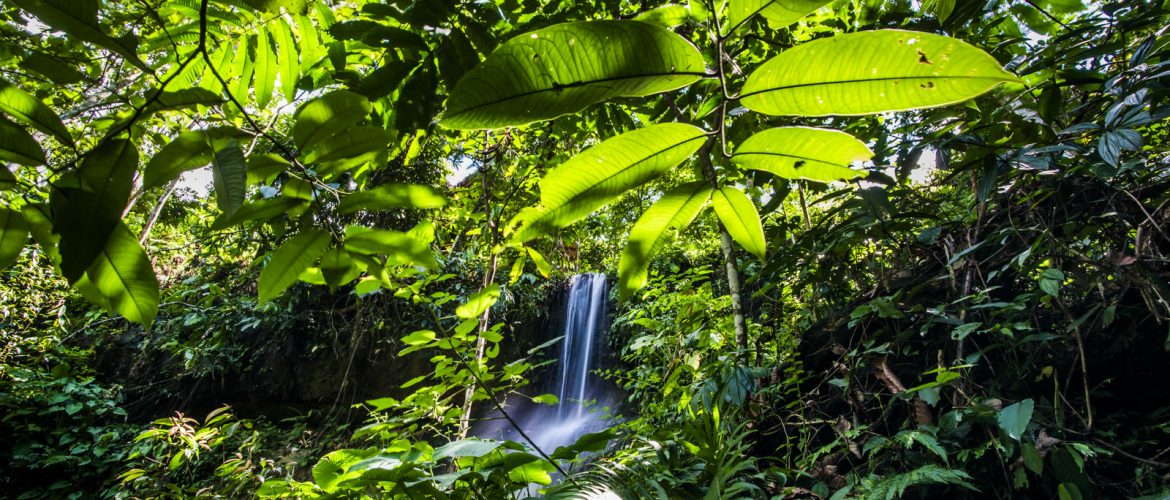 Bohorok river Bukit Lawang