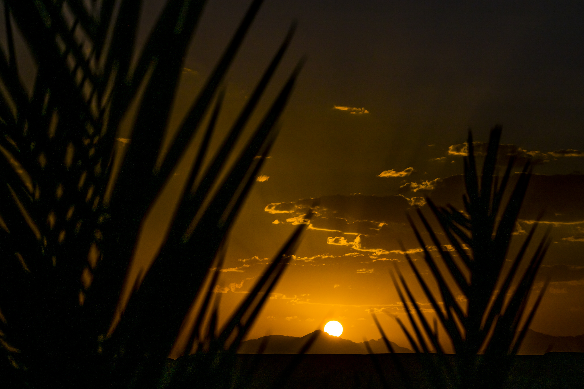Zonsondergang wadi lahami