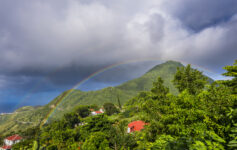 saba regenboog