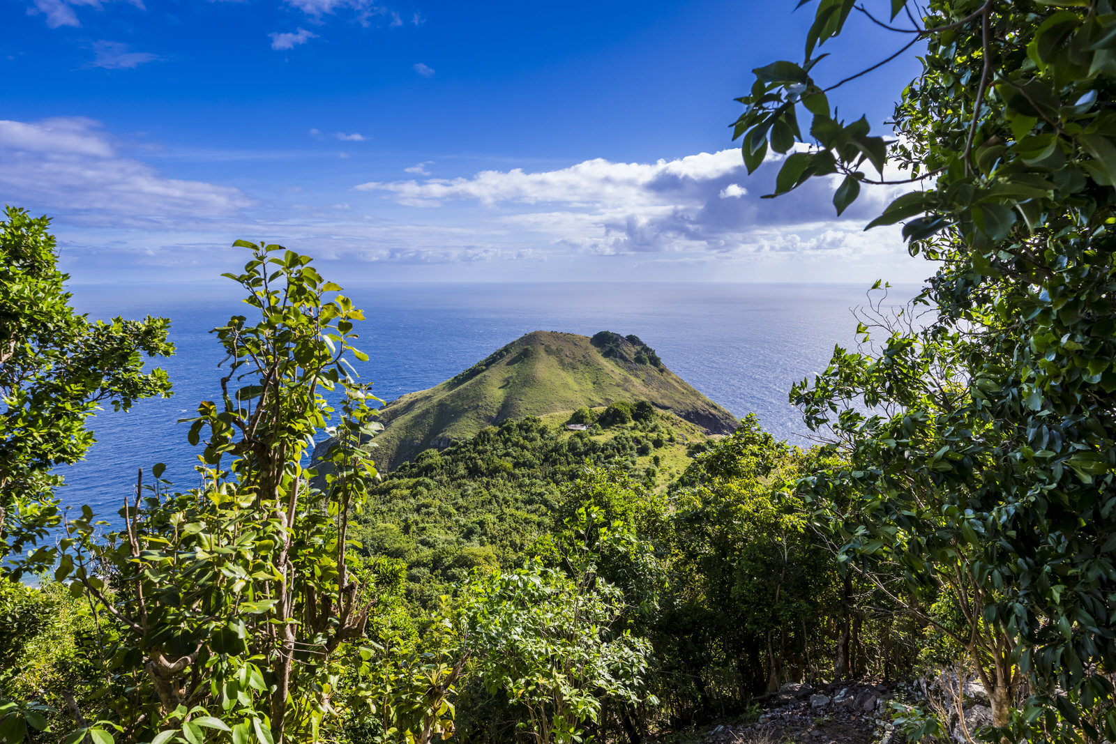 saba