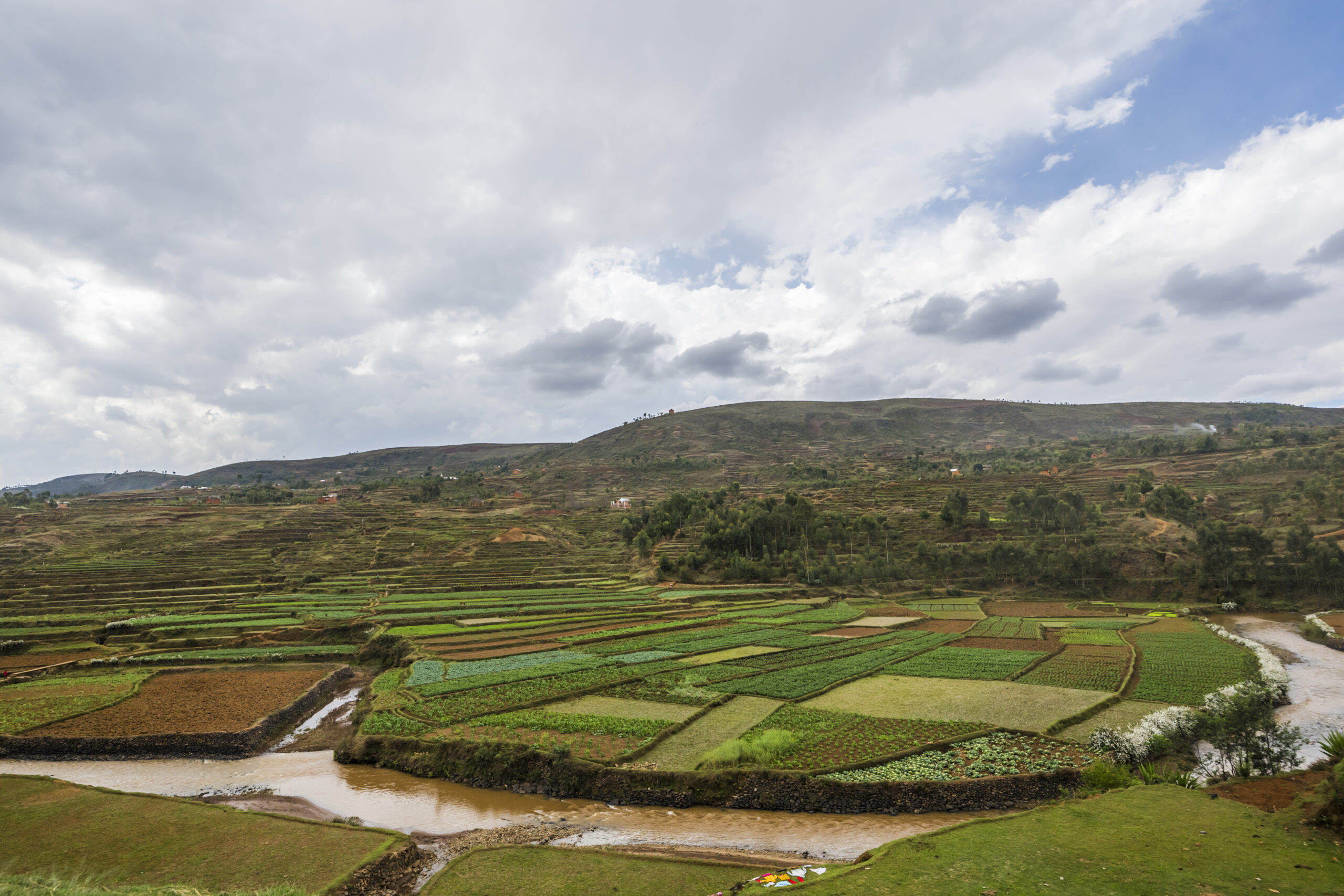 landschap madagaskar