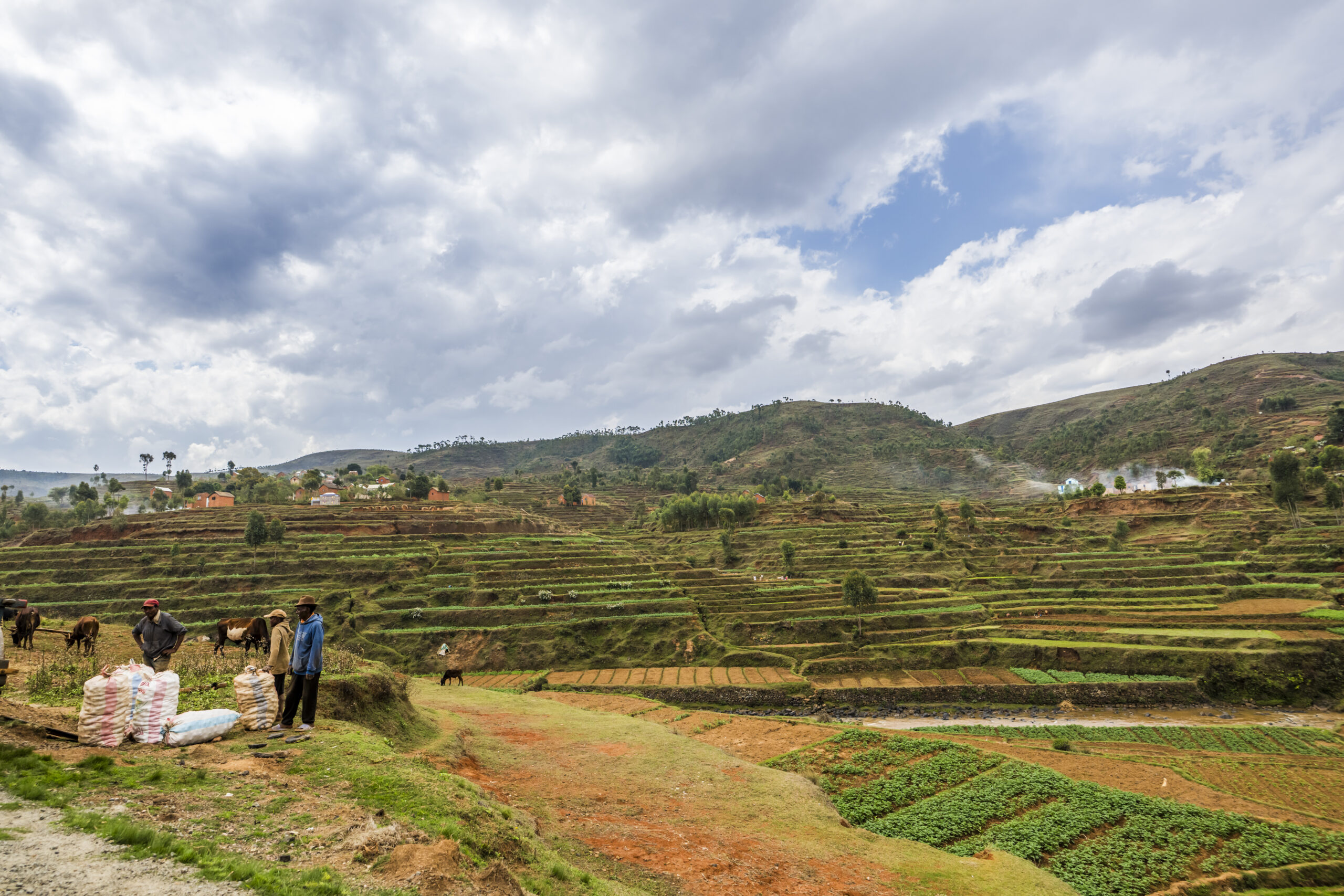 landschap madagaskar